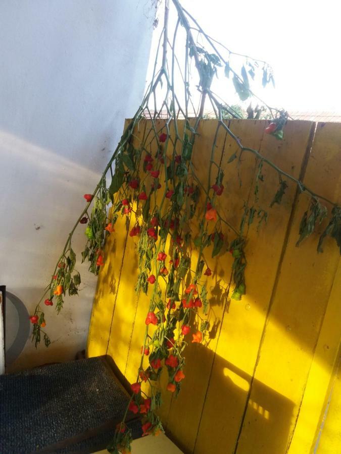 Harsfak Holiday home *