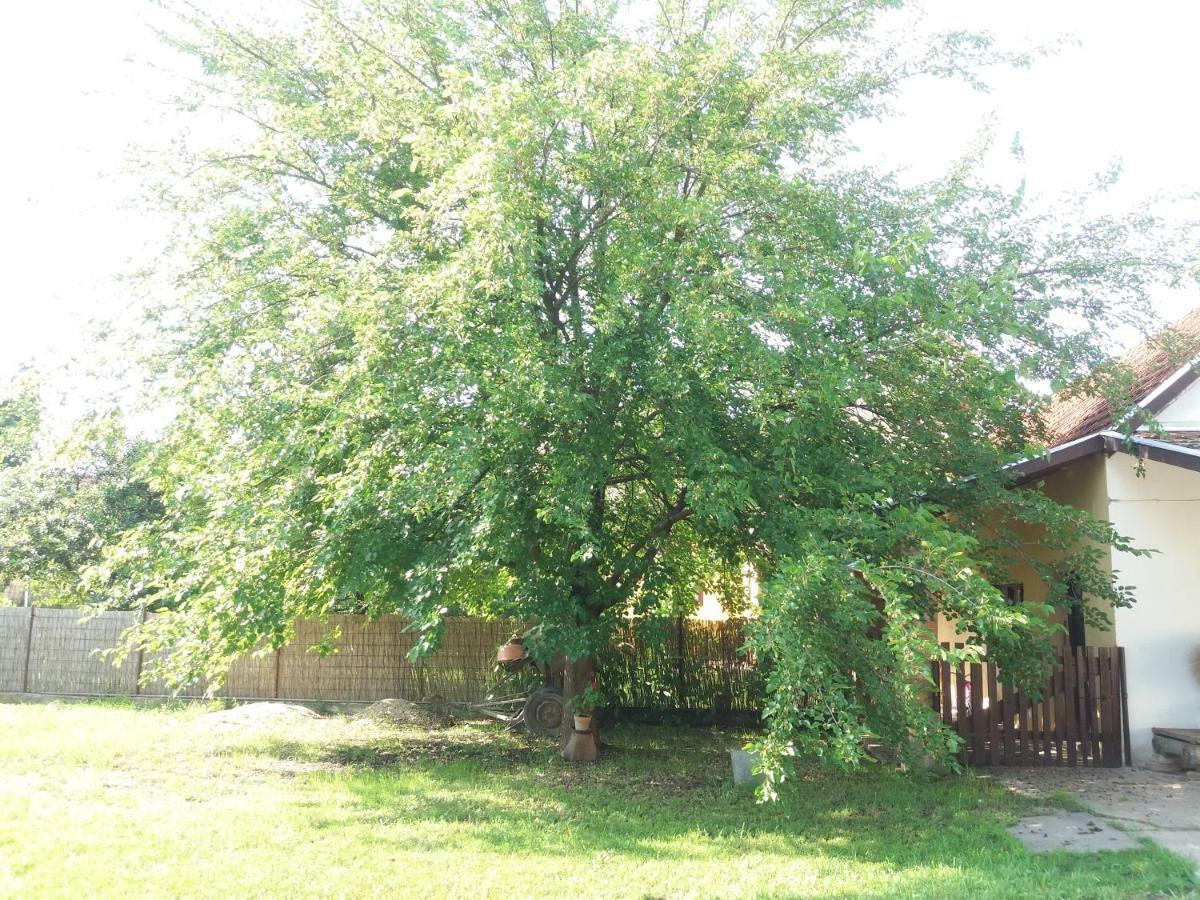 Ferienhaus Harsfak Mezokovacshaza